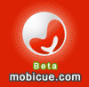 Mobicue - mobilizing your microblog S.E
