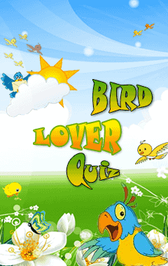 Bird Lover Quiz (240x400)