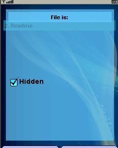 Hide My Files