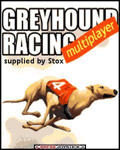 Greyhound racing multiplayer