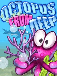 Octopus From Deep