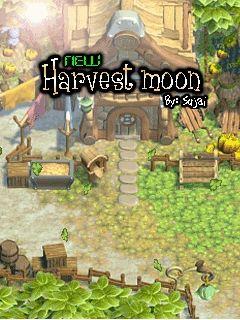 New harvest moon