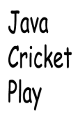 Java Cricket Play