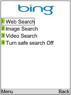 Bing Web and Image Search