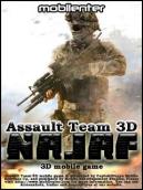 Assault Team 3D NAJAF
