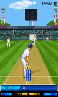 Best Cricket Game pro