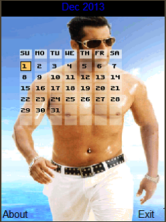 Bollywood Hero Calendar 2013