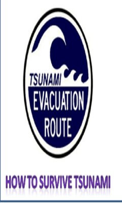 How To Survive Tsunami