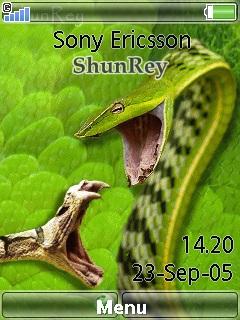 Snakes Fight-shunrey