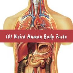 Weird Human Body Facts S40