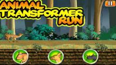 Animal transformer run