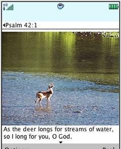 Bible Verses with Photo