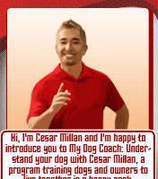 Cesar Millan My Dog Coach