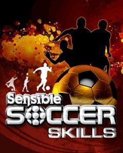 Sensible soccer skills 2011