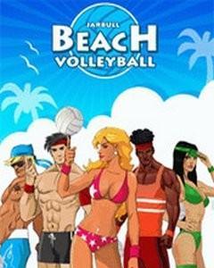 Bech volleyball