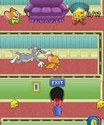 Game TOM & JERRY