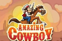 Amazing Cowboy 320x240