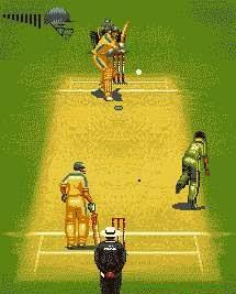 Raman Cricket