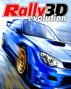 3D Rally Evolution