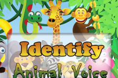 Identify Animal Voice (320x240)