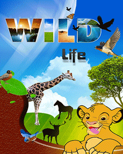Wild Life Puzzle (Touch)