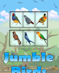 Jumble Birds