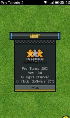 Pro Tennis 2013 v.1.0.0