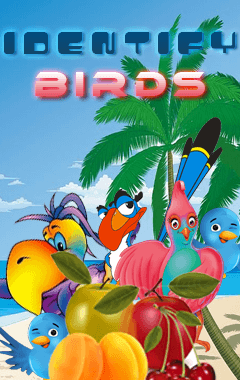 Identify Birds (240x400)