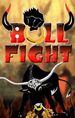 Bull Fight (240x400)