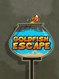 Goldfish escape