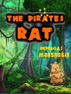 The Pirates Rat: Zhiyong Large Checkpoints