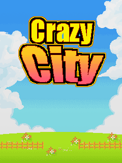 Crazy City