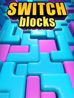 Switch Blocks