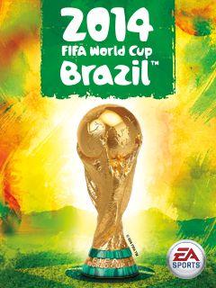 2014: FIFA World cup Brazil