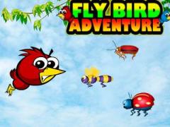Fly bird adventure