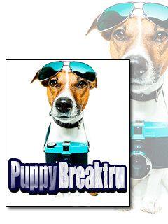 Puppy breaktru