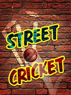 Street cricket