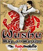 WUSHU - Way Of The Warrior