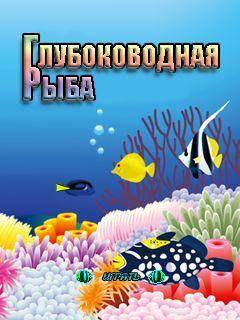 Deep-sea fish