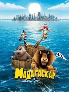 Madagascar Going Wild