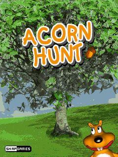 Acorn Hunt