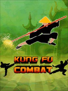 Kung fu combat