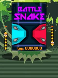 Java 2D: The Snake Game  BSJUG - Baixada Santista Java Users Group