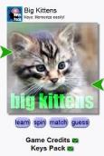 Big Cats by Keys for symbian