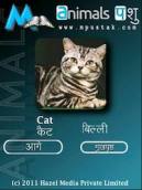 mPustak Animals Hindi English