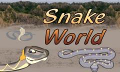 Snake world