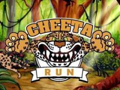 Cheeta run
