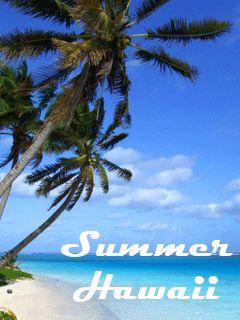 Summer Hawaii