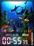 animated  aquarium
