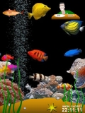 animated aquarium...